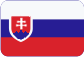 BSV Kubiš, s.r.o. Slovensky
